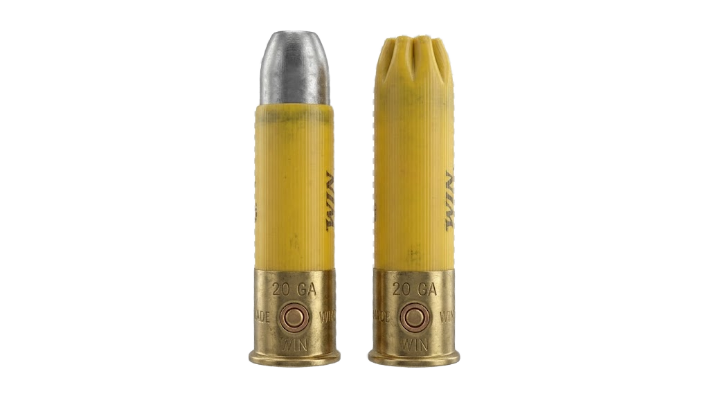 20 Gauge
