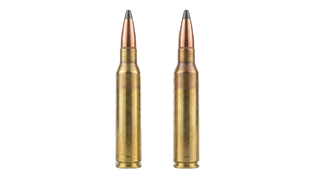 .300 Winchester Magnum