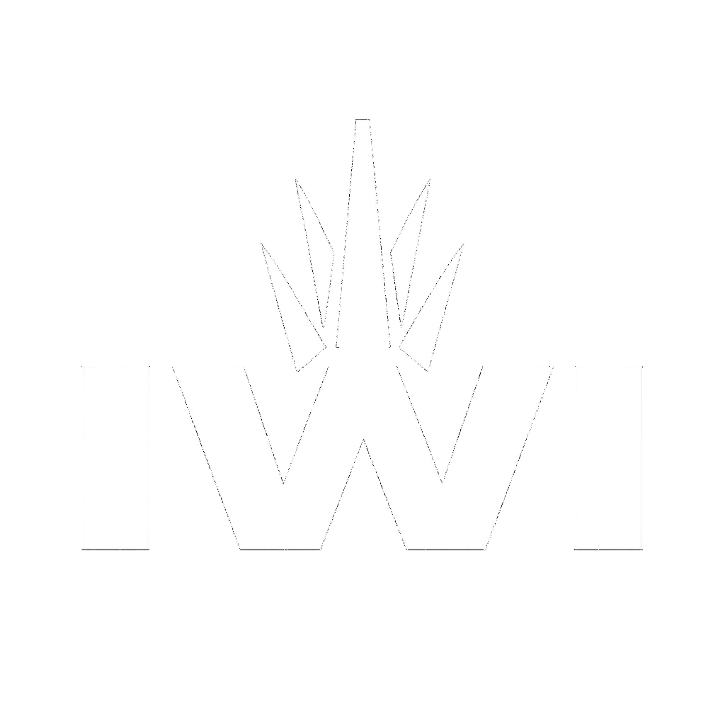 IWI (Israel Weapon Industries)